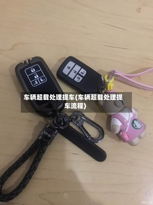 车辆超载处理提车(车辆超载处理提车流程)