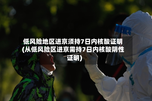 低风险地区进京须持7日内核酸证明(从低风险区进京需持7日内核酸阴性证明)-第2张图片