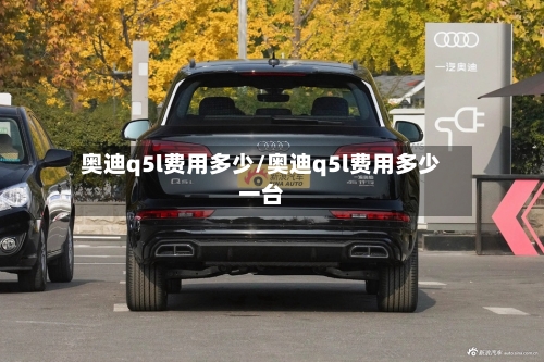 奥迪q5l费用多少/奥迪q5l费用多少一台-第3张图片