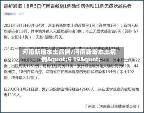 河南新增本土病例/河南新增本土病例"5 19"-第2张图片