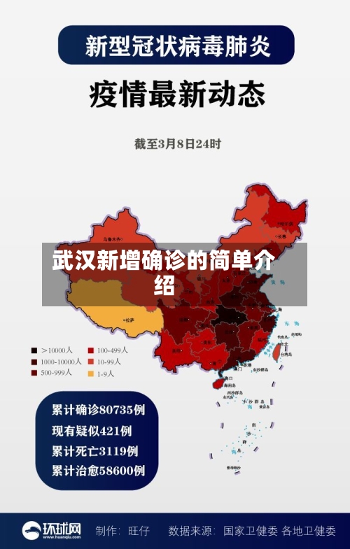 武汉新增确诊的简单介绍-第2张图片