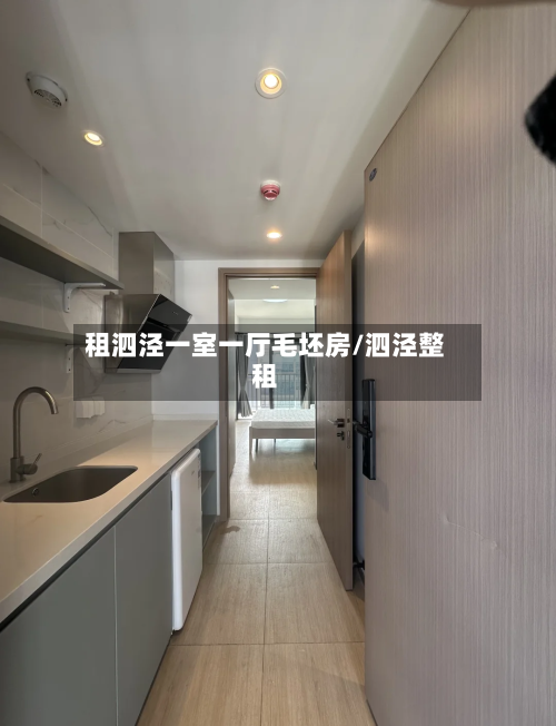 租泗泾一室一厅毛坯房/泗泾整租-第3张图片