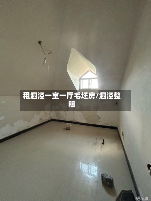 租泗泾一室一厅毛坯房/泗泾整租-第1张图片