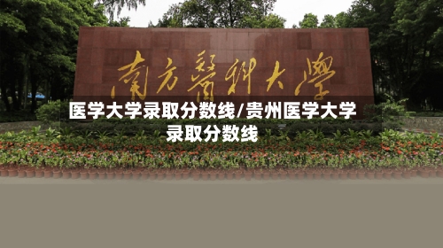 医学大学录取分数线/贵州医学大学录取分数线