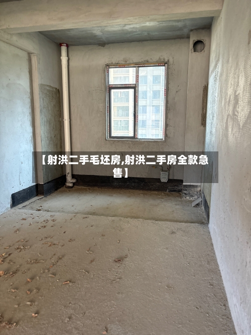 【射洪二手毛坯房,射洪二手房全款急售】-第3张图片