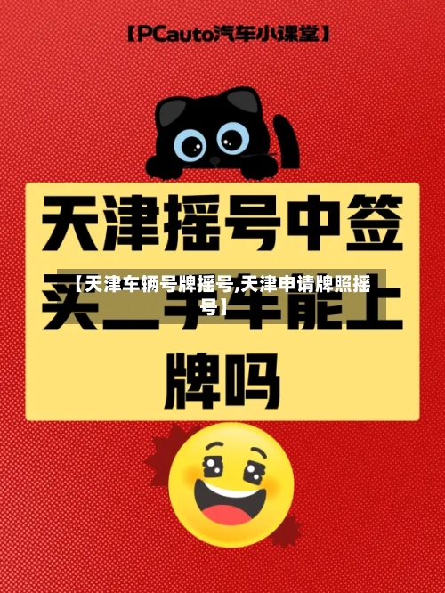 【天津车辆号牌摇号,天津申请牌照摇号】-第3张图片