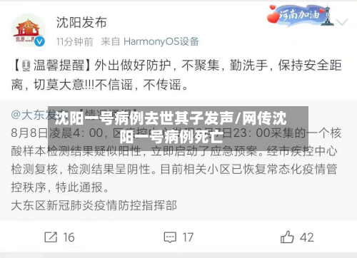 沈阳一号病例去世其子发声/网传沈阳一号病例死亡-第2张图片