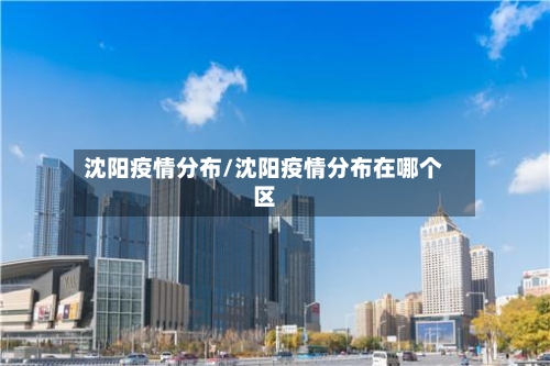 沈阳疫情分布/沈阳疫情分布在哪个区