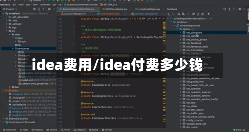 idea费用/idea付费多少钱-第2张图片