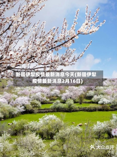 新疆伊犁疫情最新消息今天(新疆伊犁疫情最新消息2月16日)-第2张图片
