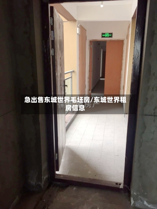 急出售东城世界毛坯房/东城世界租房信息