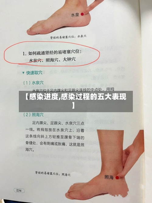 【感染进度,感染过程的五大表现】