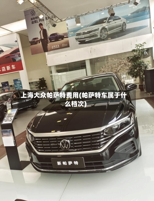 上海大众帕萨特费用(帕萨特车属于什么档次)