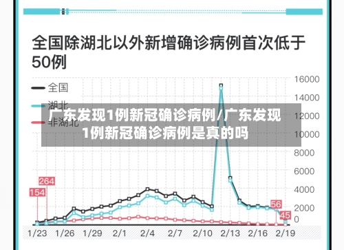 广东发现1例新冠确诊病例/广东发现1例新冠确诊病例是真的吗-第3张图片