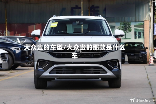 大众贵的车型/大众贵的那款是什么车-第3张图片