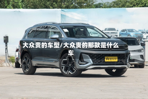 大众贵的车型/大众贵的那款是什么车-第2张图片