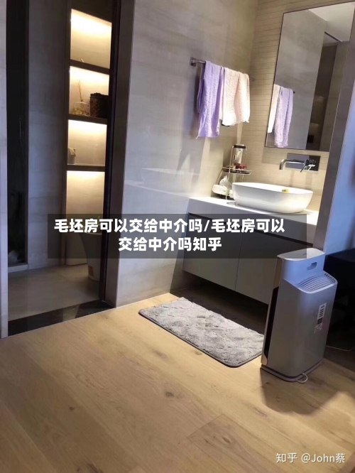 毛坯房可以交给中介吗/毛坯房可以交给中介吗知乎