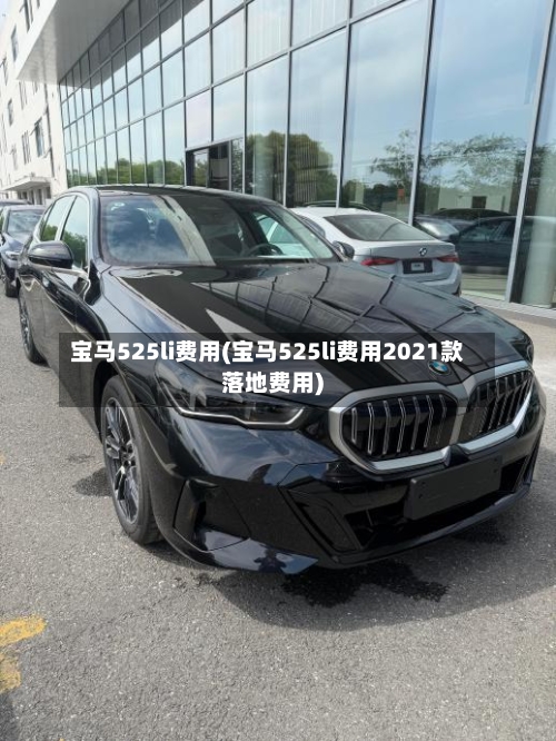 宝马525li费用(宝马525li费用2021款落地费用)-第2张图片