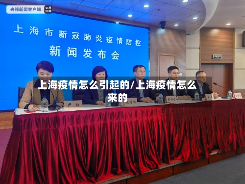 上海疫情怎么引起的/上海疫情怎么来的-第2张图片