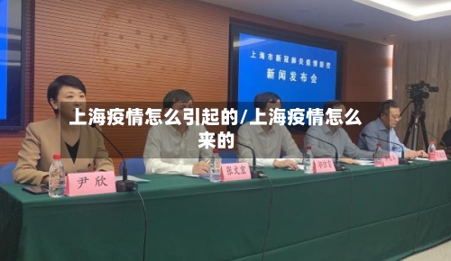 上海疫情怎么引起的/上海疫情怎么来的-第1张图片