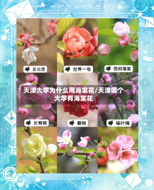 天津大学为什么用海棠花/天津哪个大学有海棠花