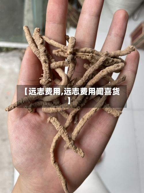 【远志费用,远志费用闻喜货】-第1张图片