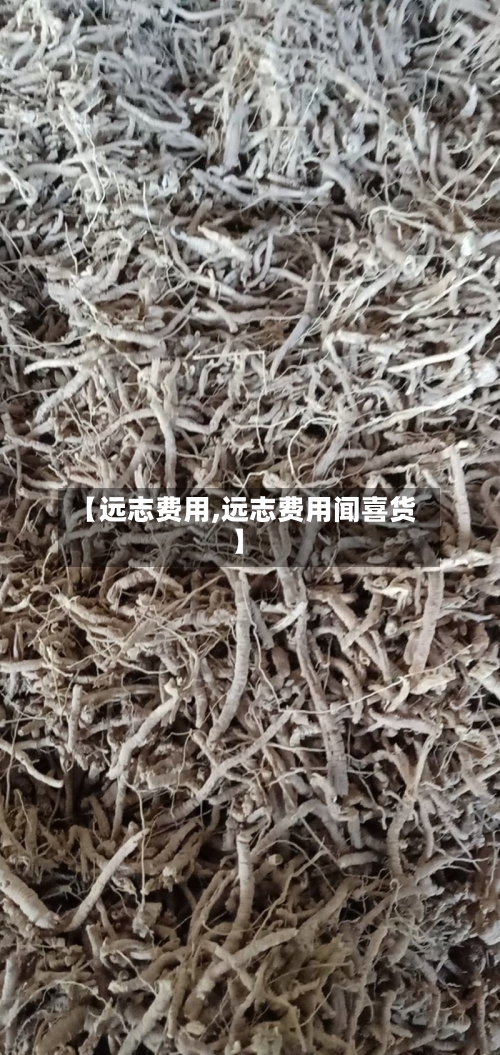 【远志费用,远志费用闻喜货】-第3张图片
