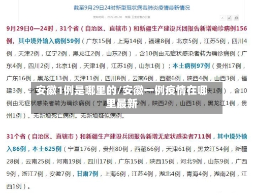 安徽1例是哪里的/安徽一例疫情在哪里最新-第1张图片
