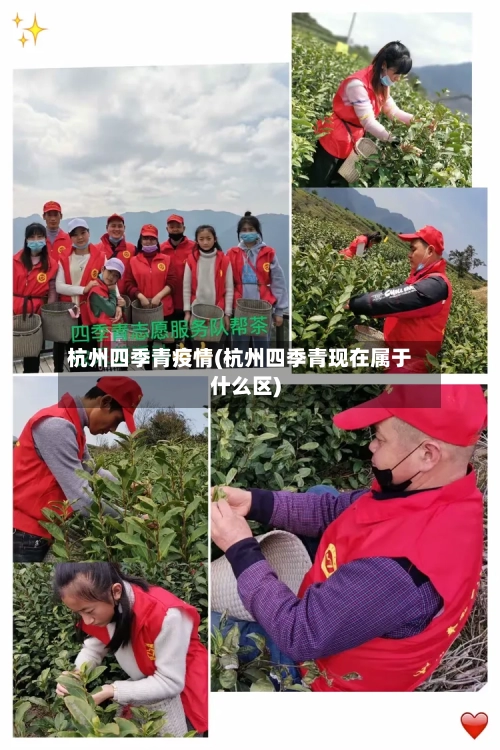 杭州四季青疫情(杭州四季青现在属于什么区)-第2张图片