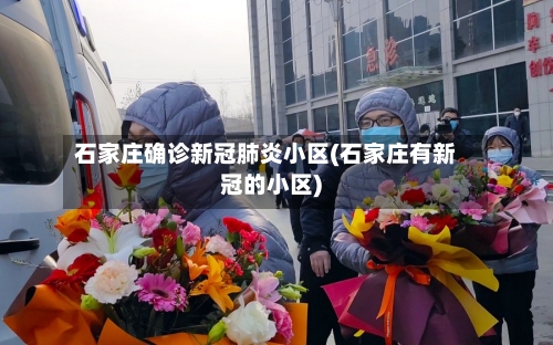 石家庄确诊新冠肺炎小区(石家庄有新冠的小区)-第2张图片