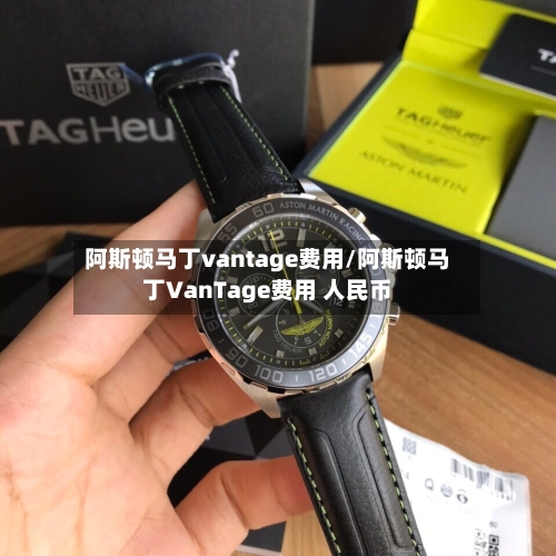阿斯顿马丁vantage费用/阿斯顿马丁VanTage费用 人民币-第2张图片