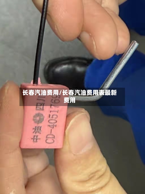 长春汽油费用/长春汽油费用表最新费用