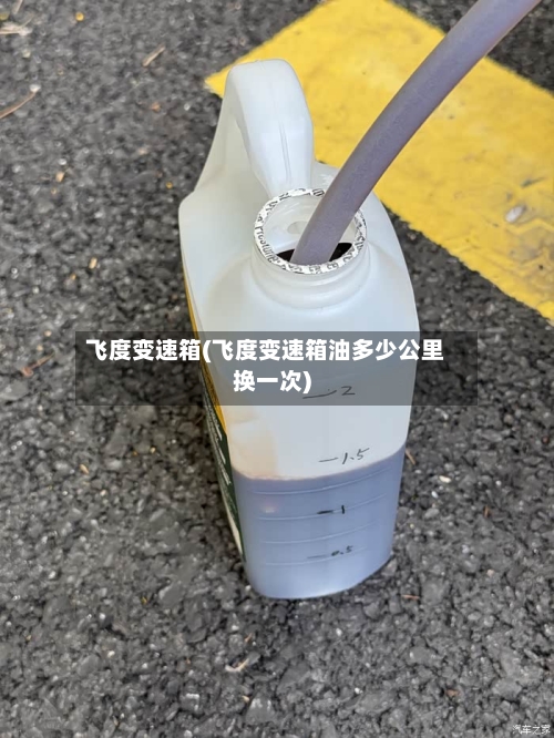 飞度变速箱(飞度变速箱油多少公里换一次)-第2张图片