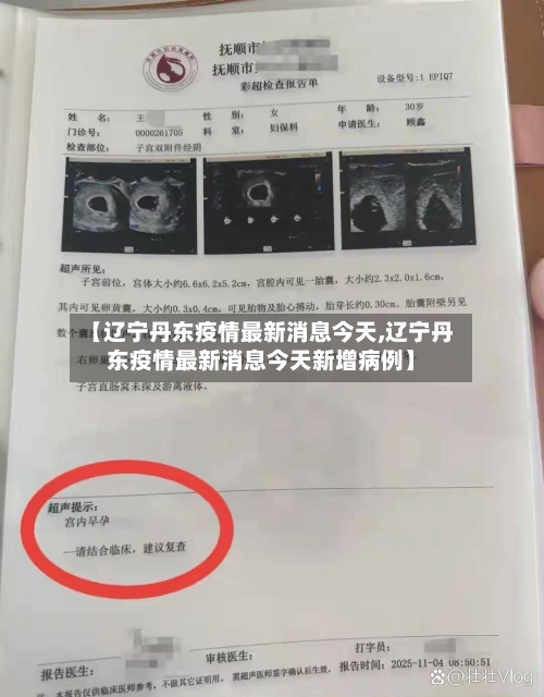 【辽宁丹东疫情最新消息今天,辽宁丹东疫情最新消息今天新增病例】-第2张图片