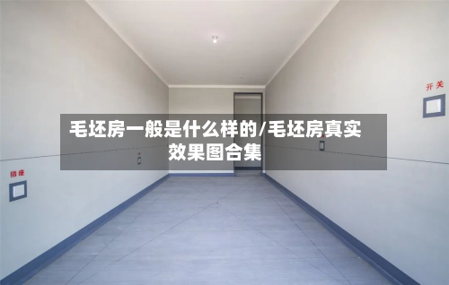 毛坯房一般是什么样的/毛坯房真实效果图合集-第2张图片