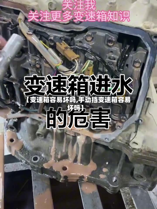 【变速箱容易坏吗,手动挡变速箱容易坏吗】-第2张图片