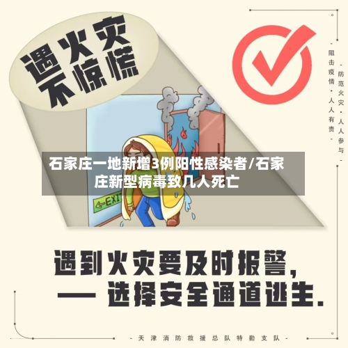 石家庄一地新增3例阳性感染者/石家庄新型病毒致几人死亡
