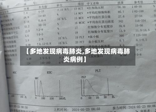 【多地发现病毒肺炎,多地发现病毒肺炎病例】-第2张图片