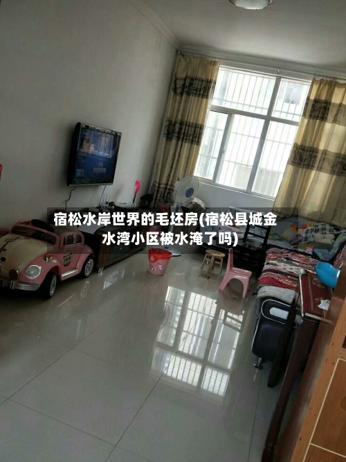 宿松水岸世界的毛坯房(宿松县城金水湾小区被水淹了吗)-第2张图片