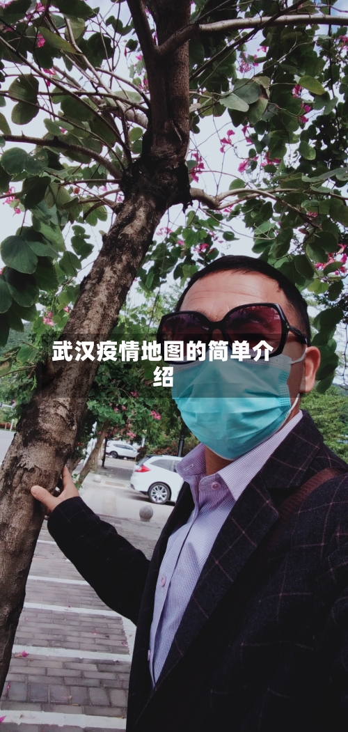 武汉疫情地图的简单介绍-第2张图片