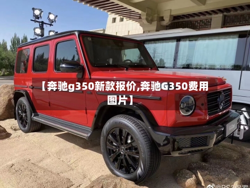 【奔驰g350新款报价,奔驰G350费用图片】-第2张图片