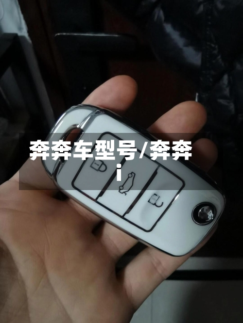 奔奔车型号/奔奔i-第3张图片