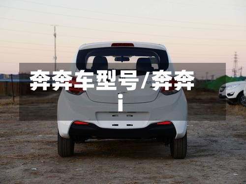 奔奔车型号/奔奔i