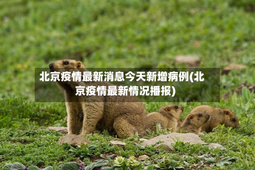 北京疫情最新消息今天新增病例(北京疫情最新情况播报)