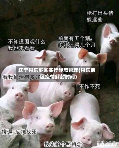 辽宁丹东多区实行静态管理(丹东地区疫情解封时间)