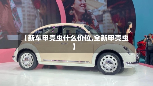 【新车甲壳虫什么价位,全新甲壳虫】-第2张图片