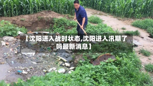 【沈阳进入战时状态,沈阳进入汛期了吗最新消息】-第2张图片