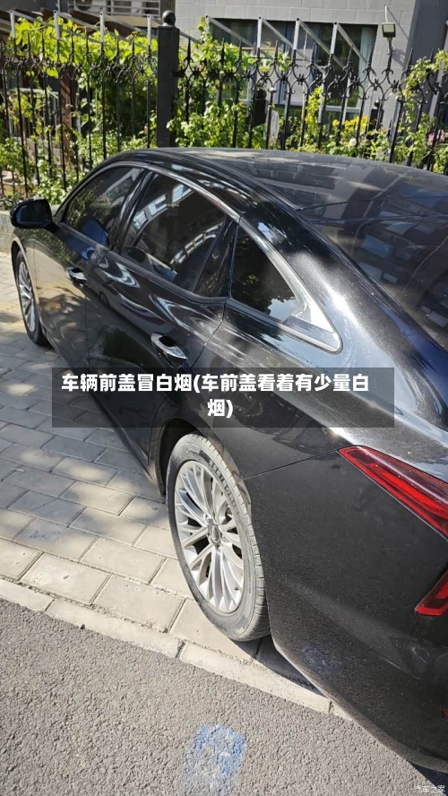 车辆前盖冒白烟(车前盖看着有少量白烟)-第2张图片