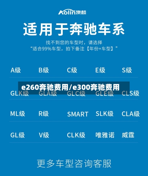 e260奔驰费用/e300奔驰费用-第1张图片