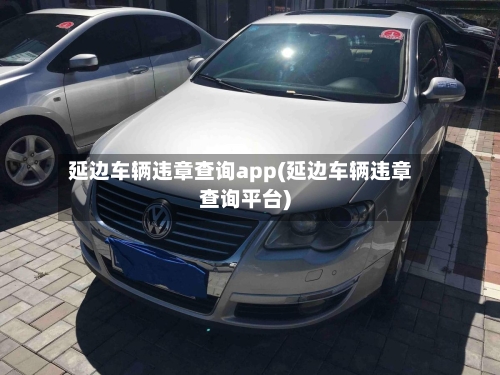 延边车辆违章查询app(延边车辆违章查询平台)-第1张图片